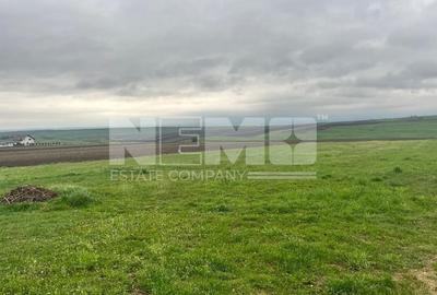 Teren De Vanzare I Moara, Suceava I Preț: 45.000 Euro - 6