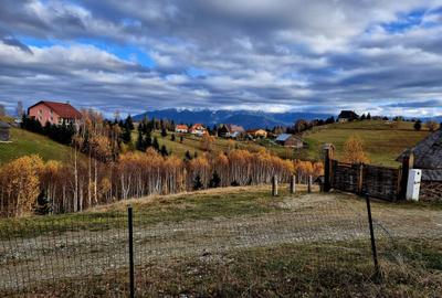 Casa de poveste in satul Pestera, Moeciu Brasov - 13