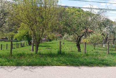 Proprietate Brad, Hunedoara - 7