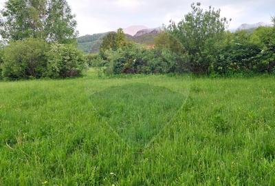 Teren 4,223mp Zarnesti - Tohanita - 17