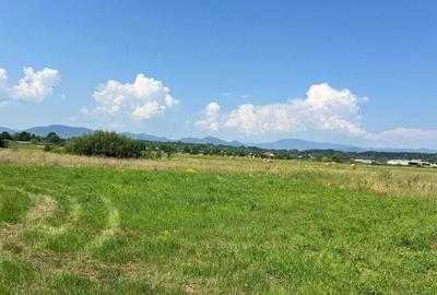 Spațiu comercial, în Cătălina