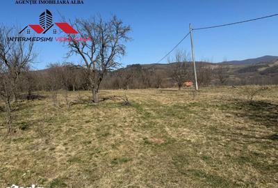 Casă cu 4 camere cu Teren 7701 Mp în Vințu de Jos - 16