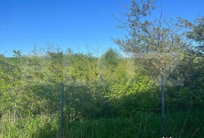 Teren de 2700 mp, în Central - 2