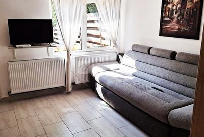 Bucium, apartament 1 camera cu terasa si garaj, la casa - 2