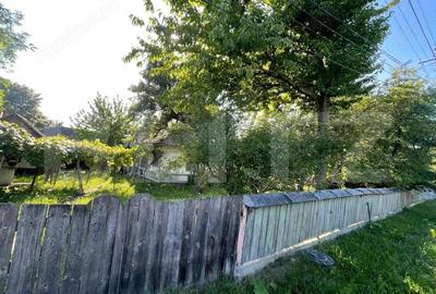 Casa + teren intravilan (5.916mp) -Fantana Mare - 1