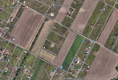 TEREN DUMBRAVITA 791 MP TEREN DUMBRAVITA 791 MP - 2