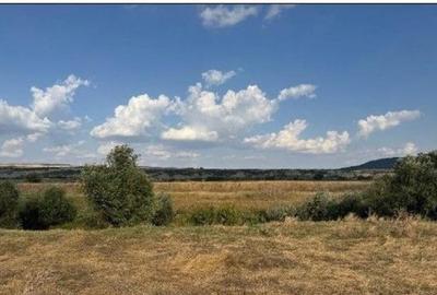 Teren Extravilan Banca, ID: R2805492 - 6