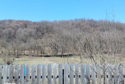 Teren de 400 mp, în Domnești - 4