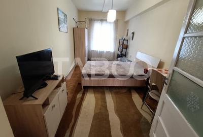 Garsoniera spatioasa la casa in apropiere de Podul Minciunilor Sibiu - 3