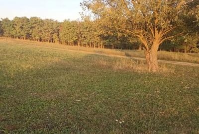 Teren de 1500 mp, în Periferie - 4