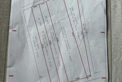 Teren de 2000 mp, în Snagov - 1