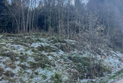 Teren de 19984 mp, în Mănăstirea Humorului - 4