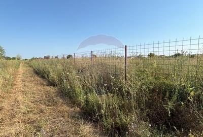 Teren Construcții intravilan de 3000 mp, în Tărtășești - 3