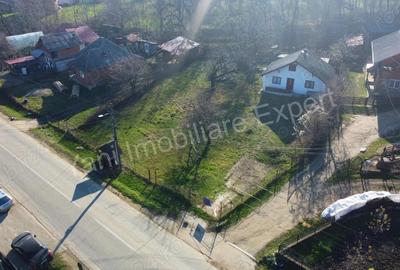 Casă în Domnești - 8