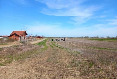 Teren Construcții intravilan de 731 mp, în Vetiș - 4