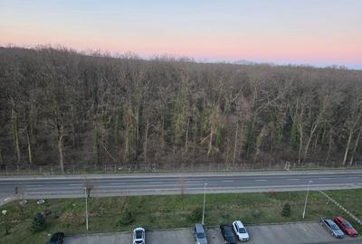 Apartament cu 2 camere semidecomandat, mobilat în Lipovei - 15