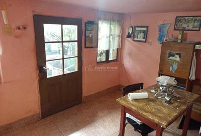 Casă cu Teren 1439 Mp în Brădișoru de Jos - 1