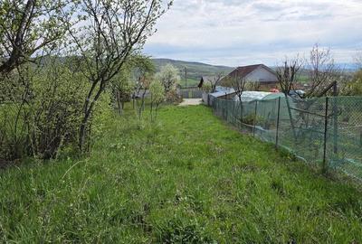 Teren de 6704 mp, în Bârsău - 18