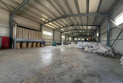 Inchiriere complex industrial multifunc?ional pozi?ie strategica, Targu Jiu - 1