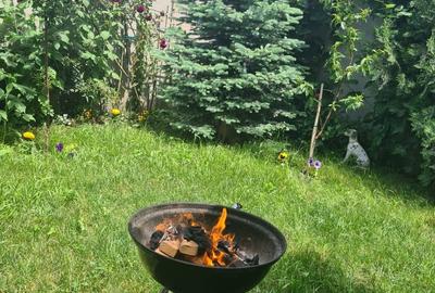 Duplex cu 7 camere cu Teren 250 Mp în Haliu - 9