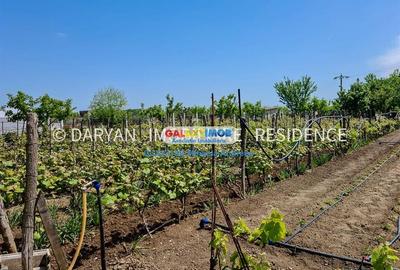 Teren in Poienari Apostoli, 21 E/mp, Avantajos, DN1, 34.500 euro - 2