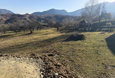 Spațiu comercial, în Bran - 6