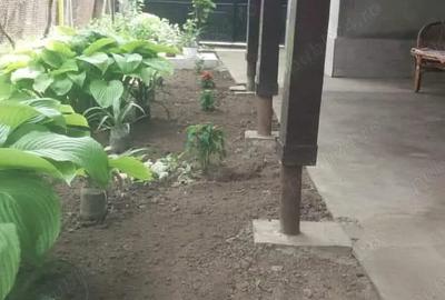 Casă cu 4 camere cu Teren 700 Mp în Cetate - 5