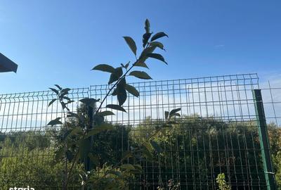Casă cu 4 camere în Manolache - 4