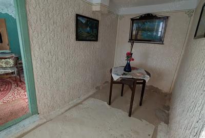 Casa batraneasca teren - Cerna (jud. Tulcea) - 10