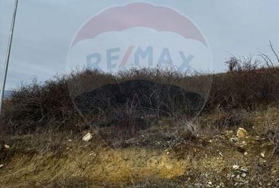 Teren agricol intravilan de 2900 mp, în Dezmir - 4