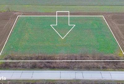 Teren de 6600 mp, în Botizului - 6