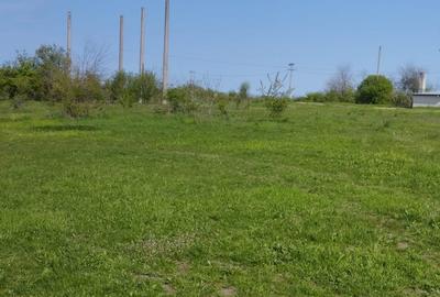 Teren intravilan de 10000 mp, în Grădiștea - 15