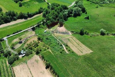 Teren agricol extravilan de 5240 mp, în Berchezoaia - 5