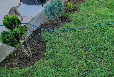 Casă cu 4 camere în Central - 2