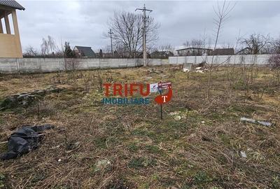 Spațiu comercial, în Cetate - 5