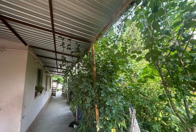 Casa si teren zona teatrul Maior Gheorghe Pastia, Focsani, jud. Vrancea. - 5