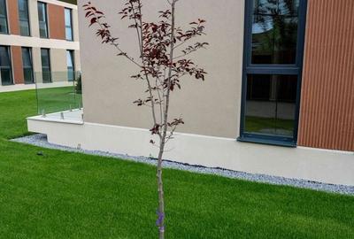 Apartament cu 2 camere în Unirii - 12