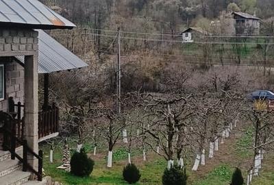 Casă cu 3 camere cu Teren 2800 Mp în Central - 7