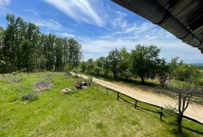 Teren *oportunitate investi?ie* Carbune?ti-Sat, la DN 67B - 8