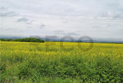 Reco, teren intravila la E60 sacadat - 3