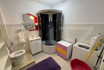 Apartament 2 camere, 50 mp, petfriendly, zona Muzeul Apei - 7