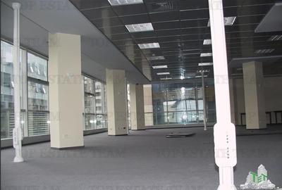 Spatiu de Birouri de 296 mp in Zona Piata Victoriei - 10