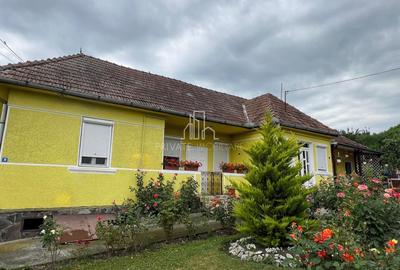 Casa cu Teren 5 000 Mp De Vanzare, Sat Voiniceni - 2