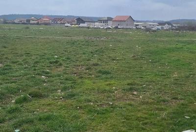 Teren de 6038 mp, în Popoveni - 4