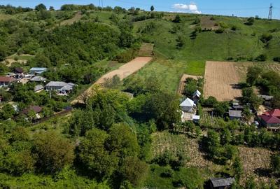 Teren agricol intravilan de 11317 mp, în Parava - 5