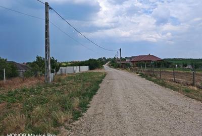 Spațiu comercial, în Săldăbagiu de Munte - 5
