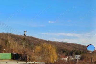 Teren de 1500 mp, în Vărbila - 3