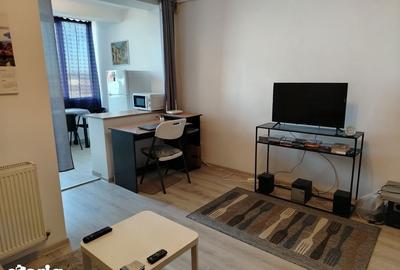 Garsonieră în Valea Borcutului - 5