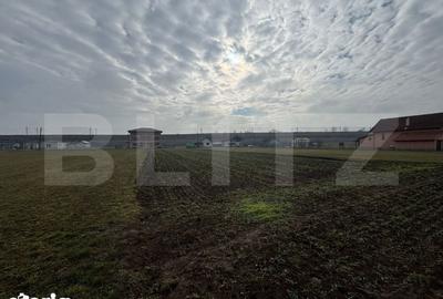 Teren de 1597 mp, în Vințu de Jos - 1