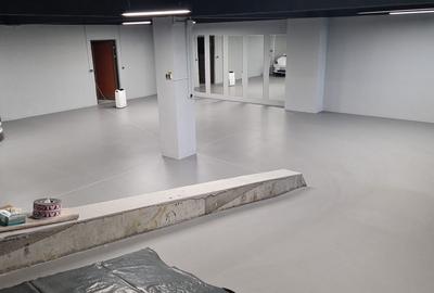 Spatiu comercial Showroom Otopeni DN 1 stradal - 6
